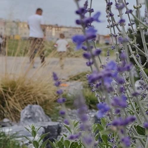 Photo #12612237