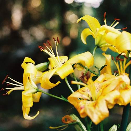 Photo #12612579