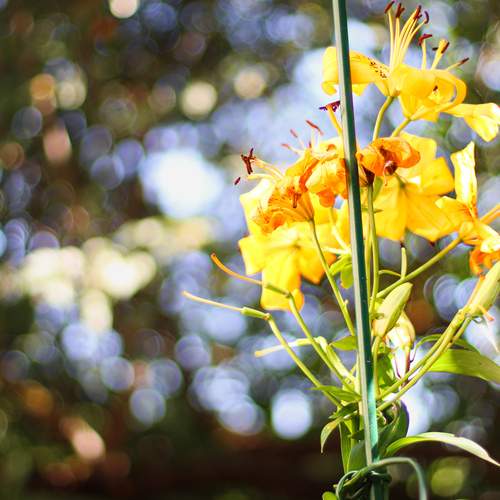 Photo #12612597