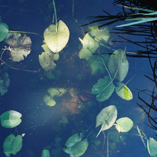 Photo #12612608