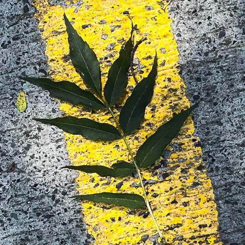 Фотография #12612735