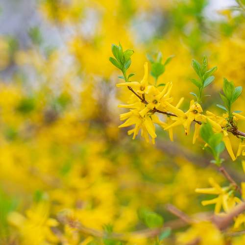 Фотография #12612744