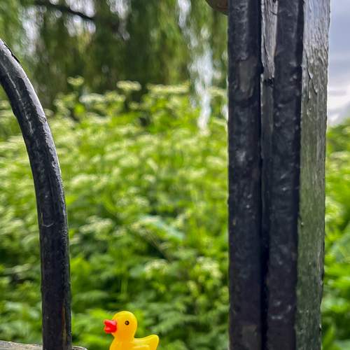 Фотография #12612745