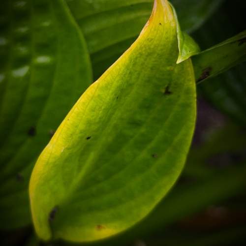 Photo #12612749