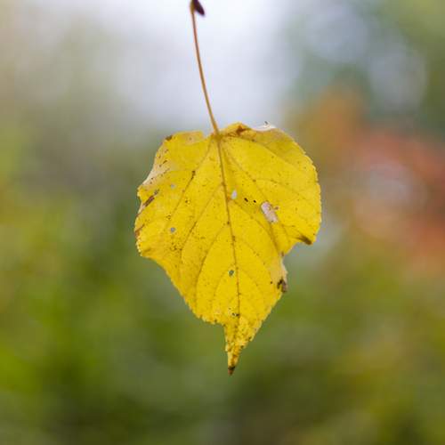 Photo #12612937