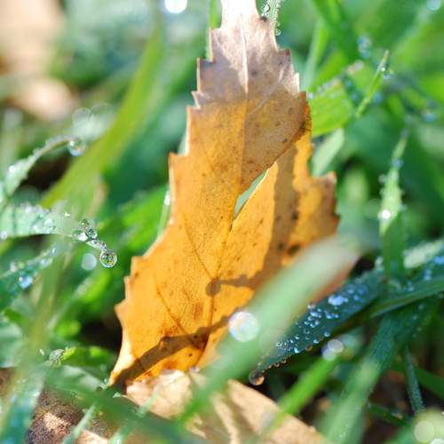 Photo #12613014