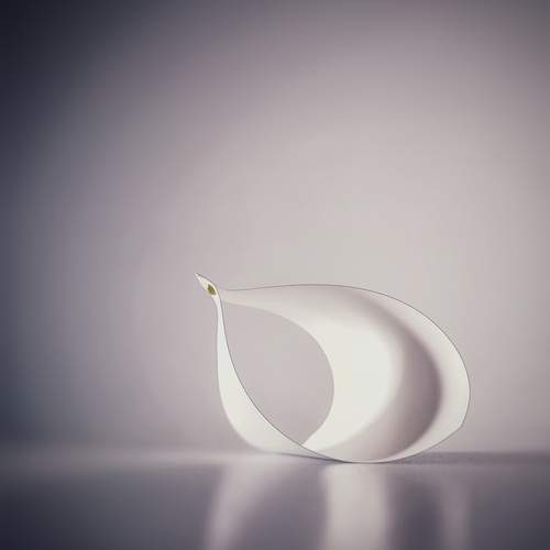 Photo #12613090
