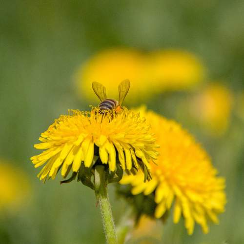 Photo #12613127