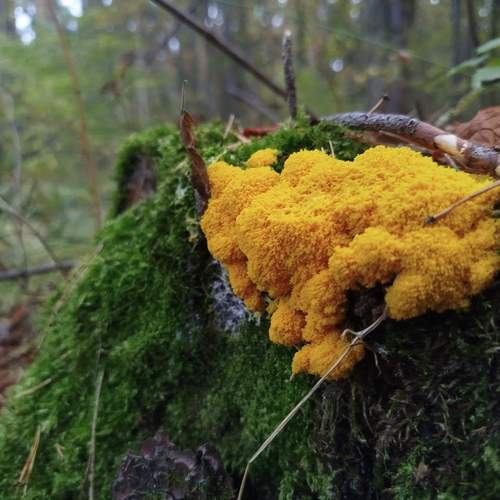 Photo #12613308