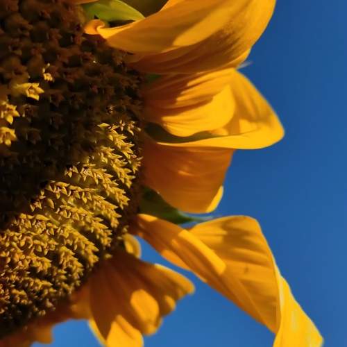 Photo #12613353