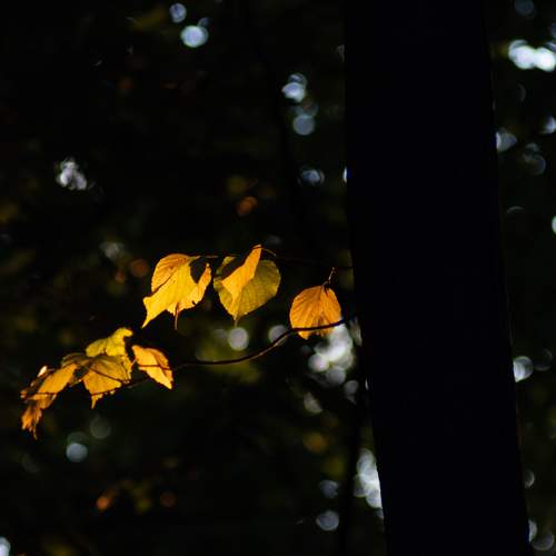 Photo #12613398