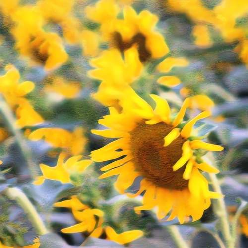 Photo #12613643