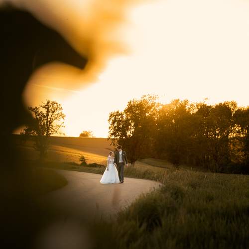 Фотография #12614079