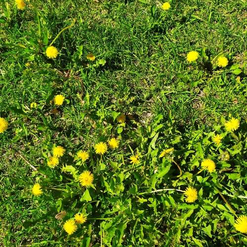 Photo #12614081