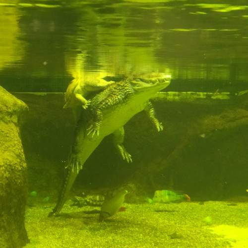 Photo #12614083