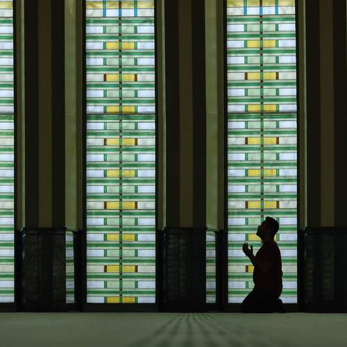 Фотография #12614476