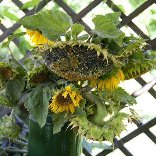 Photo #12614658