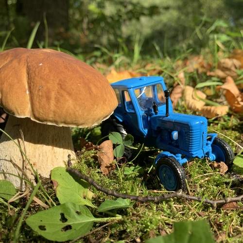 Photo #12615103