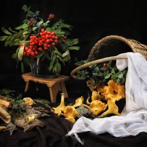 Photo #12615336