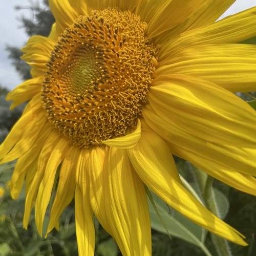 Photo #12615355