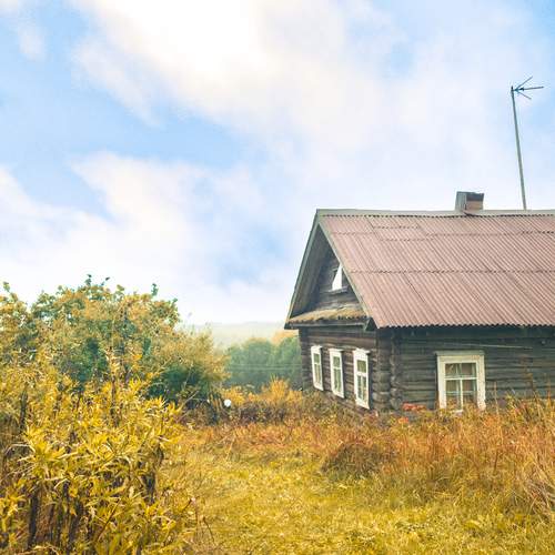 Photo #12615413