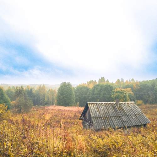 Photo #12615427