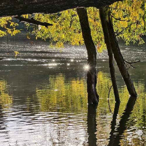Photo #12615436