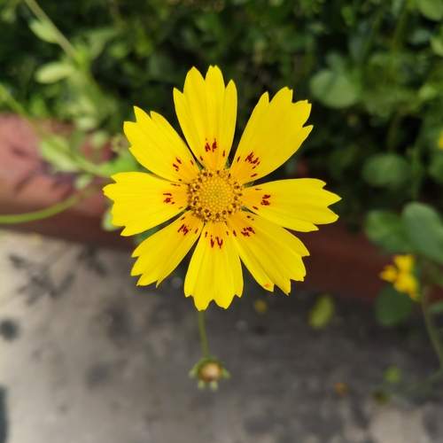 Photo #12615544