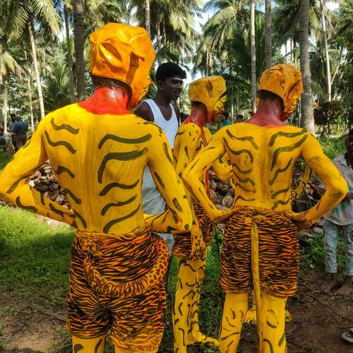 Photo #12615870