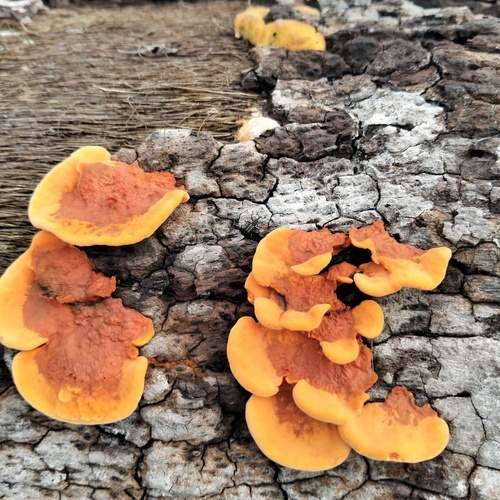 Photo #12615919