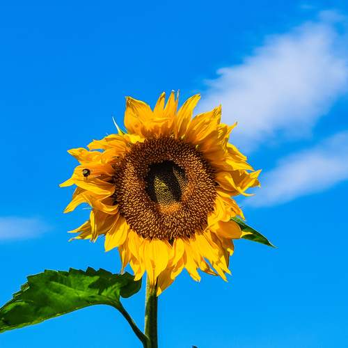 Photo #12615986