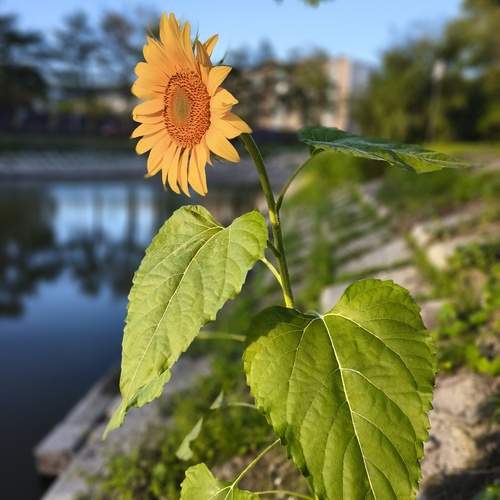 Photo #12616096