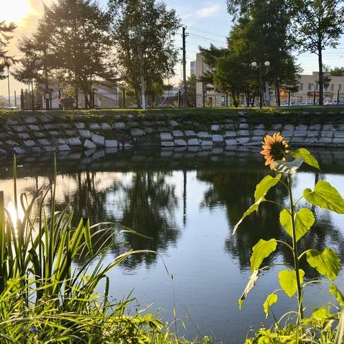 Photo #12616097