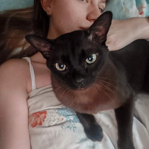 Photo #12616111