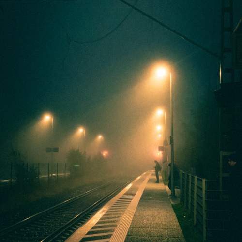 Photo #12616332