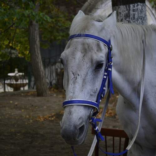 Photo #12616608
