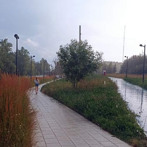 Photo #12616625