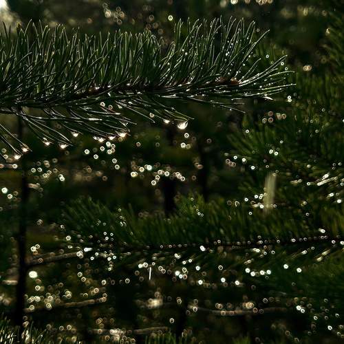 Photo #12616750