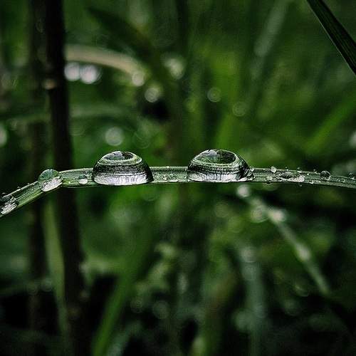 Photo #12616752