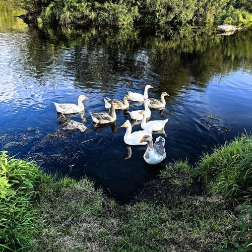 Photo #12616844