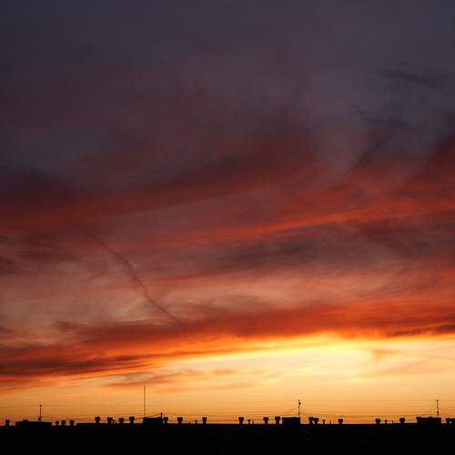 Photo #12616868