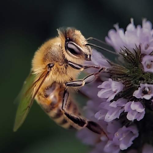 Photo #12616919