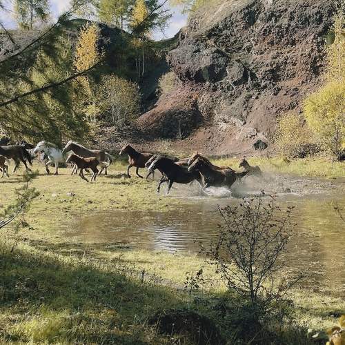 Photo #12616948