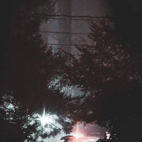Photo #12617085