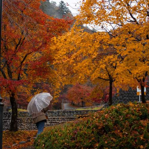 Photo #12617099