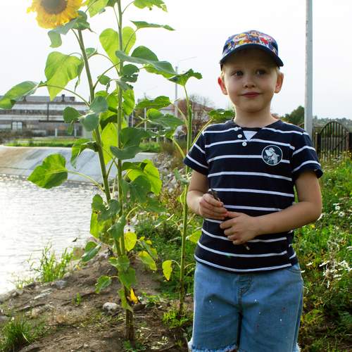 Photo #12617147