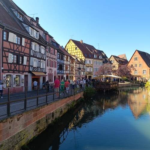 Photo #12617390