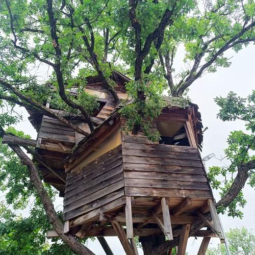 Photo #12617391