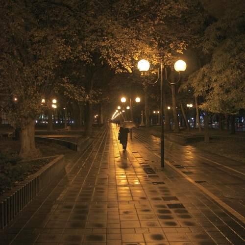 Photo #12617634