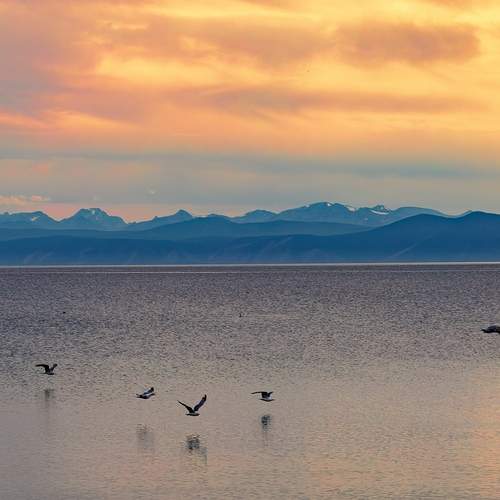 Photo #12617683